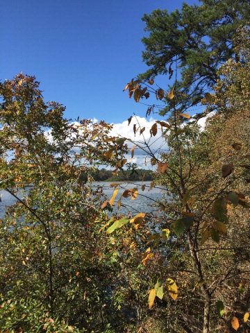 431 Us Hwy 431, Eufaula, AL 36027